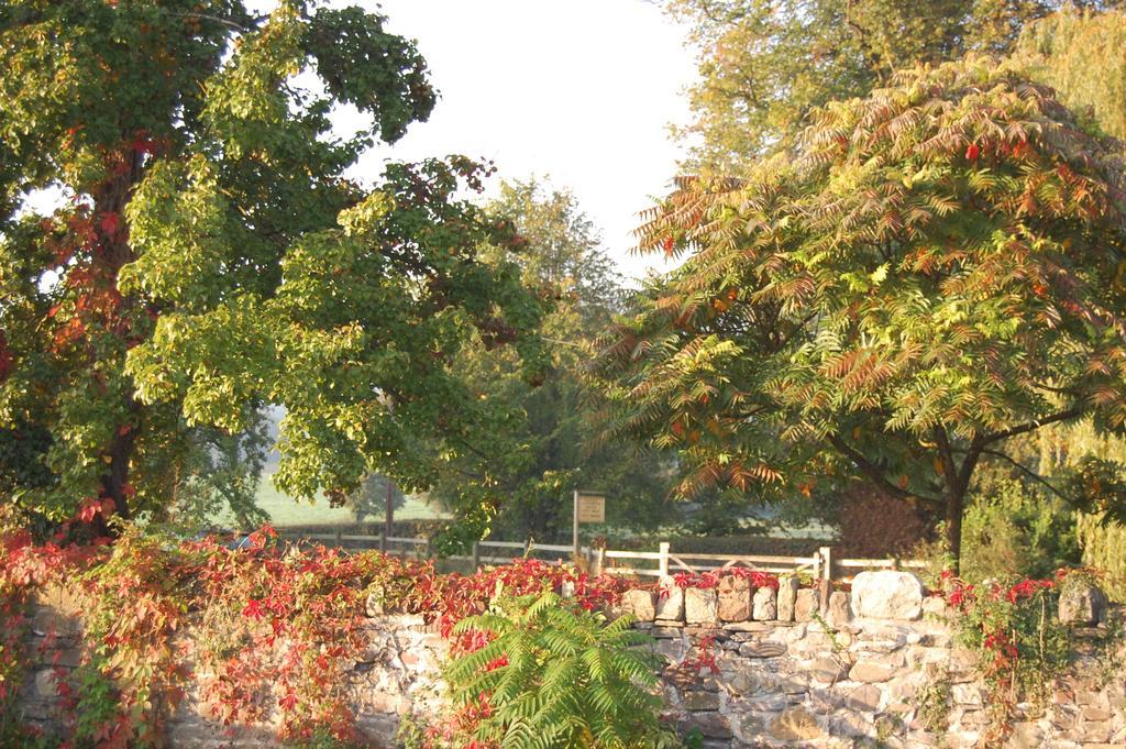 Llansabbath Country House B&B Abergavenny Exterior foto