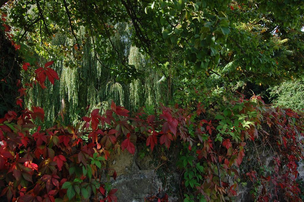 Llansabbath Country House B&B Abergavenny Exterior foto